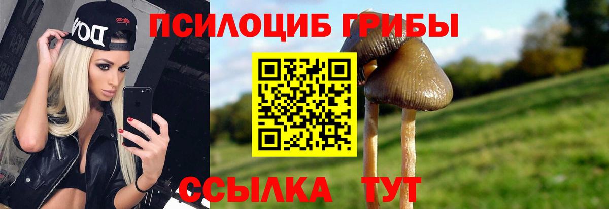 Псилоцибиновые грибы GOLDEN TEACHER  Псилоцибиновые грибы Magic Shrooms  Вход с VPN  Мариинск 